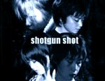 shotgun shot